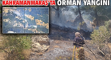 Kahramanmaraş’ta orman yangını