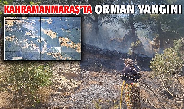 Kahramanmaraş’ta orman yangını