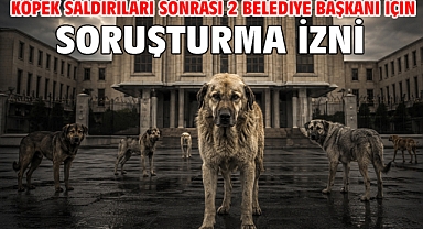 Köpek saldırıları sonrası 2 belediye başkanı için soruşturma izni