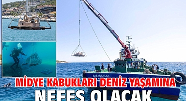 Midye kabukları deniz yaşamına nefes olacak