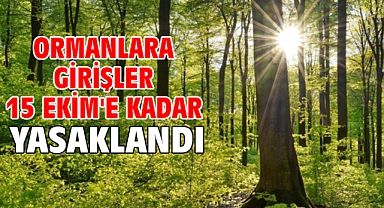 Ormanlara girişler 15 Ekim'e kadar yasaklandı