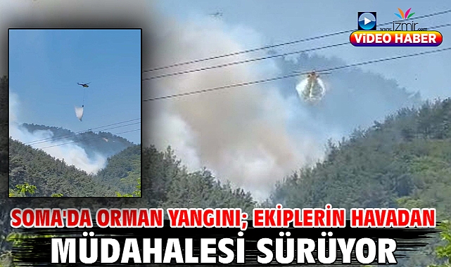 Soma'da orman yangını; ekiplerin havadan müdahalesi sürüyor