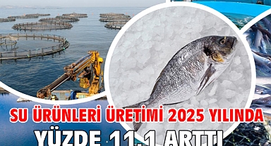 Su ürünleri üretimi 2025 yılında yüzde 11,1 arttı