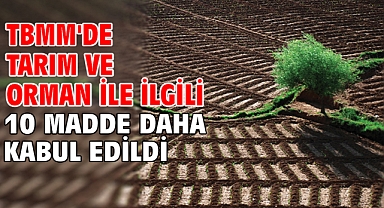 TBMM'de Tarım ve Orman İle İlgili 10 Madde Daha Kabul Edildi