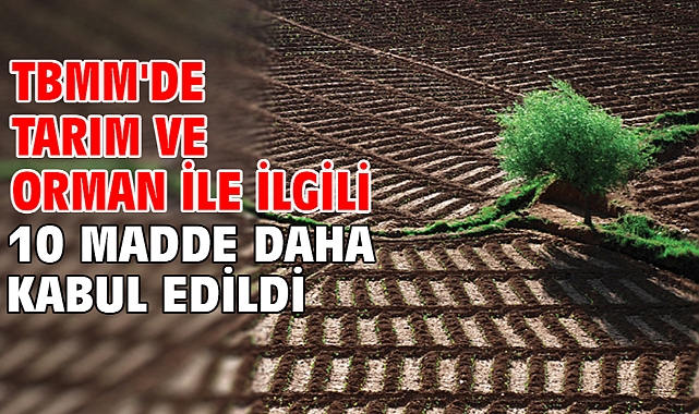 TBMM'de Tarım ve Orman İle İlgili 10 Madde Daha Kabul Edildi