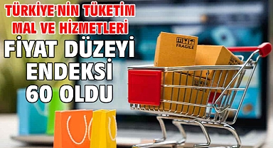 Türkiye'nin tüketim mal ve hizmetleri fiyat düzeyi endeksi 60 oldu
