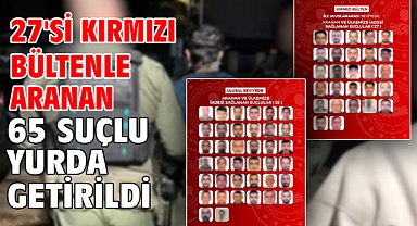 27'si kırmızı bültenle aranan 65 suçlu yurda getirildi