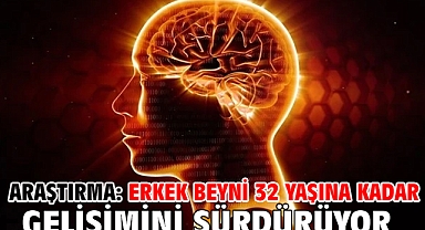 Araştırma: Erkek beyni 32 yaşına kadar gelişimini sürdürüyor