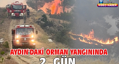 Aydın'daki orman yangınında 2. gün