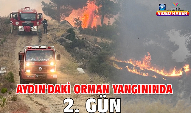 Aydın'daki orman yangınında 2. gün