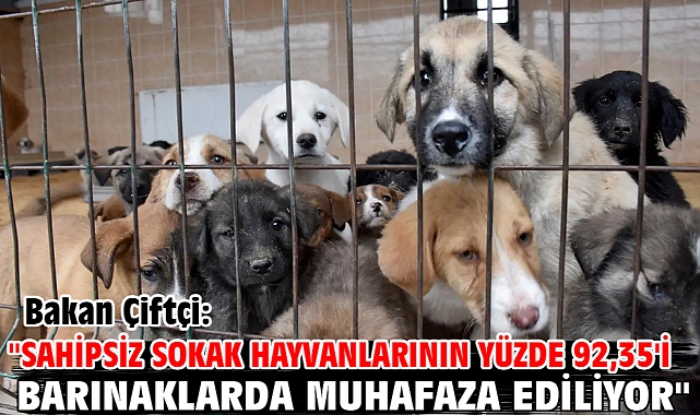 Bakan Çiftçi: