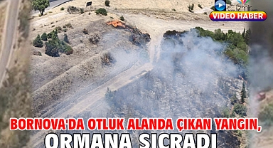 Bornova'da otluk alanda çıkan yangın, ormana sıçradı