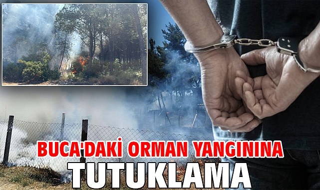 Buca'daki orman yangınına tutuklama