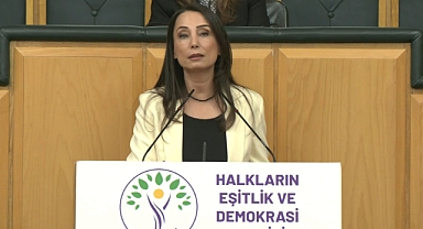 DEM Parti'li Hatimoğulları: Çerçeve yasa mutabakatla çıkmalı