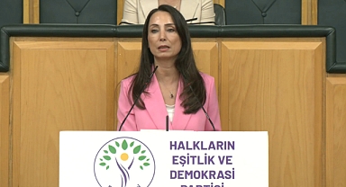 DEM Parti'li Hatimoğulları: Temmuz ayında çerçeve yasayı çıkaralım