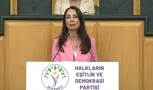 DEM Parti'li Hatimoğulları: Temmuz ayında çerçeve yasayı çıkaralım