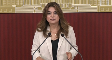 DEM Parti'li Koçyiğit: Çerçeve yasanın Meclis kapanmadan çıkacağına dair bilgiyi teyit edebilirim