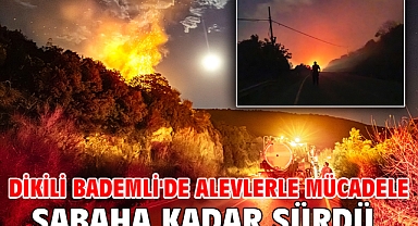 Dikili Bademli'de alevlerle mücadele sabaha kadar sürdü