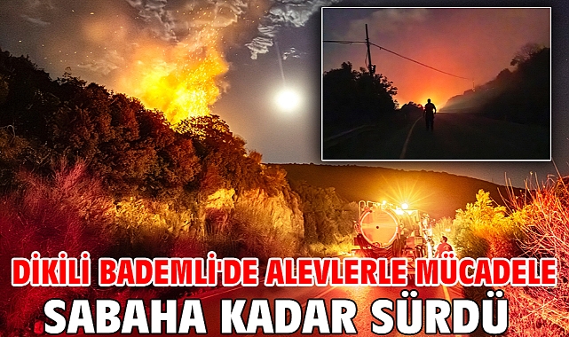 Dikili Bademli'de alevlerle mücadele sabaha kadar sürdü