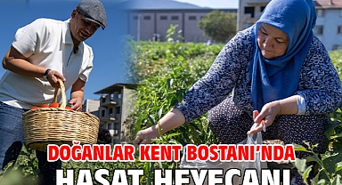 Doğanlar Kent Bostanı’nda hasat heyecanı