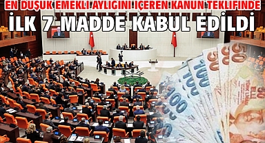En düşük emekli aylığını içeren kanun teklifinde ilk 7 madde kabul edildi 