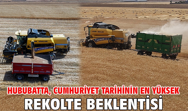 Hububatta, Cumhuriyet tarihinin en yüksek rekolte beklentisi