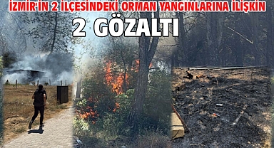 İzmir'in 2 ilçesindeki orman yangınlarına ilişkin 2 gözaltı