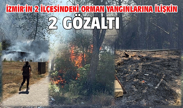 İzmir'in 2 ilçesindeki orman yangınlarına ilişkin 2 gözaltı