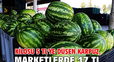 Kilosu 5 TL'ye düşen karpuz, marketlerde 17 TL