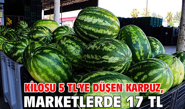Kilosu 5 TL'ye düşen karpuz, marketlerde 17 TL