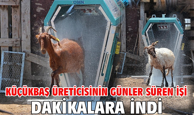 Küçükbaş üreticisinin günler süren işi dakikalara indi