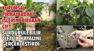 Kurumsal firmalardaki işlerini bırakan çift, sürdürülebilir çiftlik hayalini gerçekleştirdi