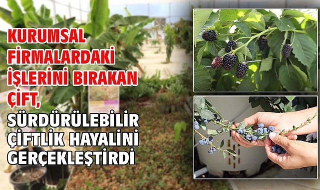 Kurumsal firmalardaki işlerini bırakan çift, sürdürülebilir çiftlik hayalini gerçekleştirdi