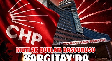 Mutlak butlan başvurusu Yargıtay'da