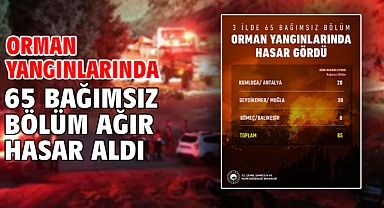 Orman yangınlarında 65 bağımsız bölüm ağır hasar aldı