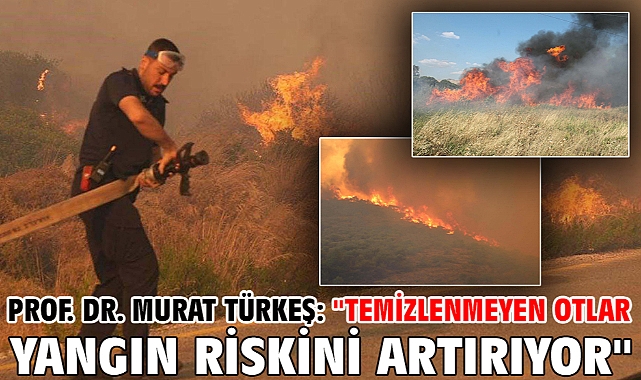 Prof. Dr. Murat Türkeş: