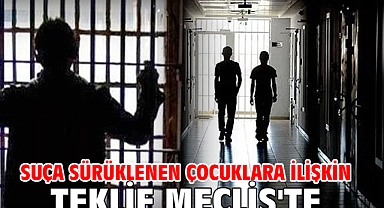 Suça sürüklenen çocuklara ilişkin teklif Meclis'te