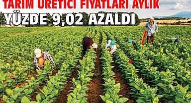 Tarım üretici fiyatları aylık yüzde 9,02 azaldı