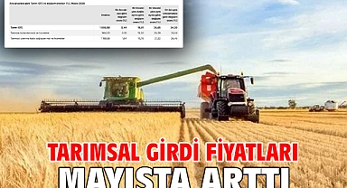Tarımsal girdi fiyatları mayısta arttı
