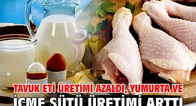 Tavuk eti üretimi azaldı, yumurta ve içme sütü üretimi arttı
