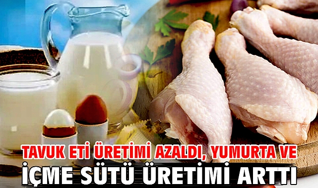 Tavuk eti üretimi azaldı, yumurta ve içme sütü üretimi arttı