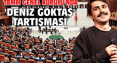 TBMM Genel Kurulu'nda 'Deniz Göktaş' tartışması