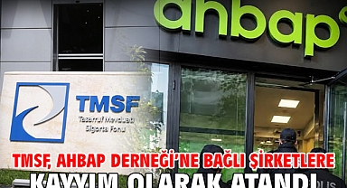 TMSF, Ahbap Derneği’ne bağlı şirketlere kayyım olarak atandı