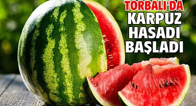 Torbalı'da karpuz hasadı başladı