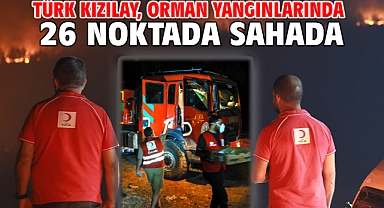 Türk Kızılay, orman yangınlarında 26 noktada sahada