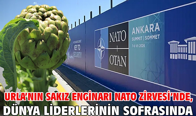 Urla'nın sakız enginarı NATO Zirvesi'nde, dünya liderlerinin sofrasında