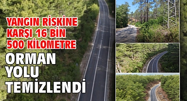 Yangın riskine karşı 16 bin 500 kilometre orman yolu temizlendi