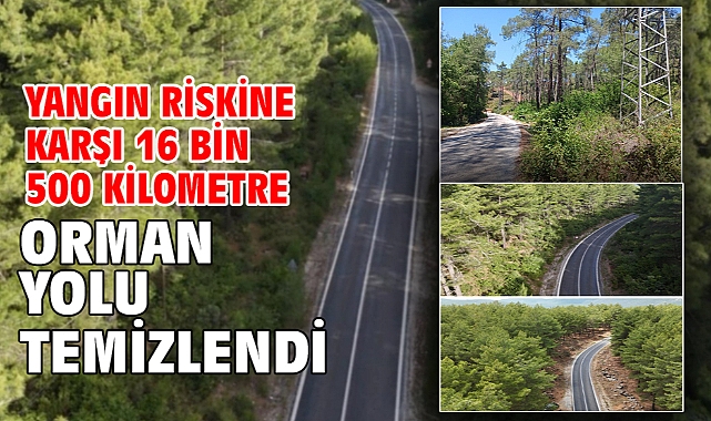 Yangın riskine karşı 16 bin 500 kilometre orman yolu temizlendi