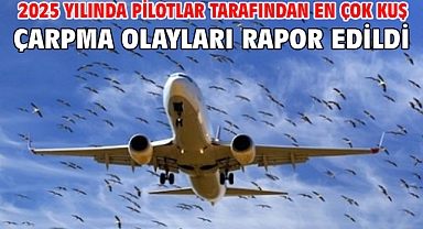 2025 yılında pilotlar tarafından en çok kuş çarpma olayları rapor edildi