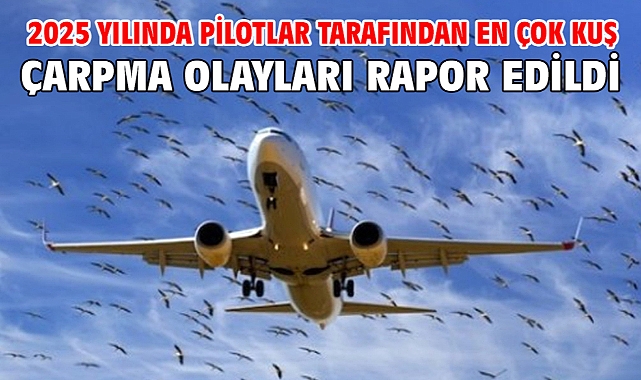 2025 yılında pilotlar tarafından en çok kuş çarpma olayları rapor edildi
